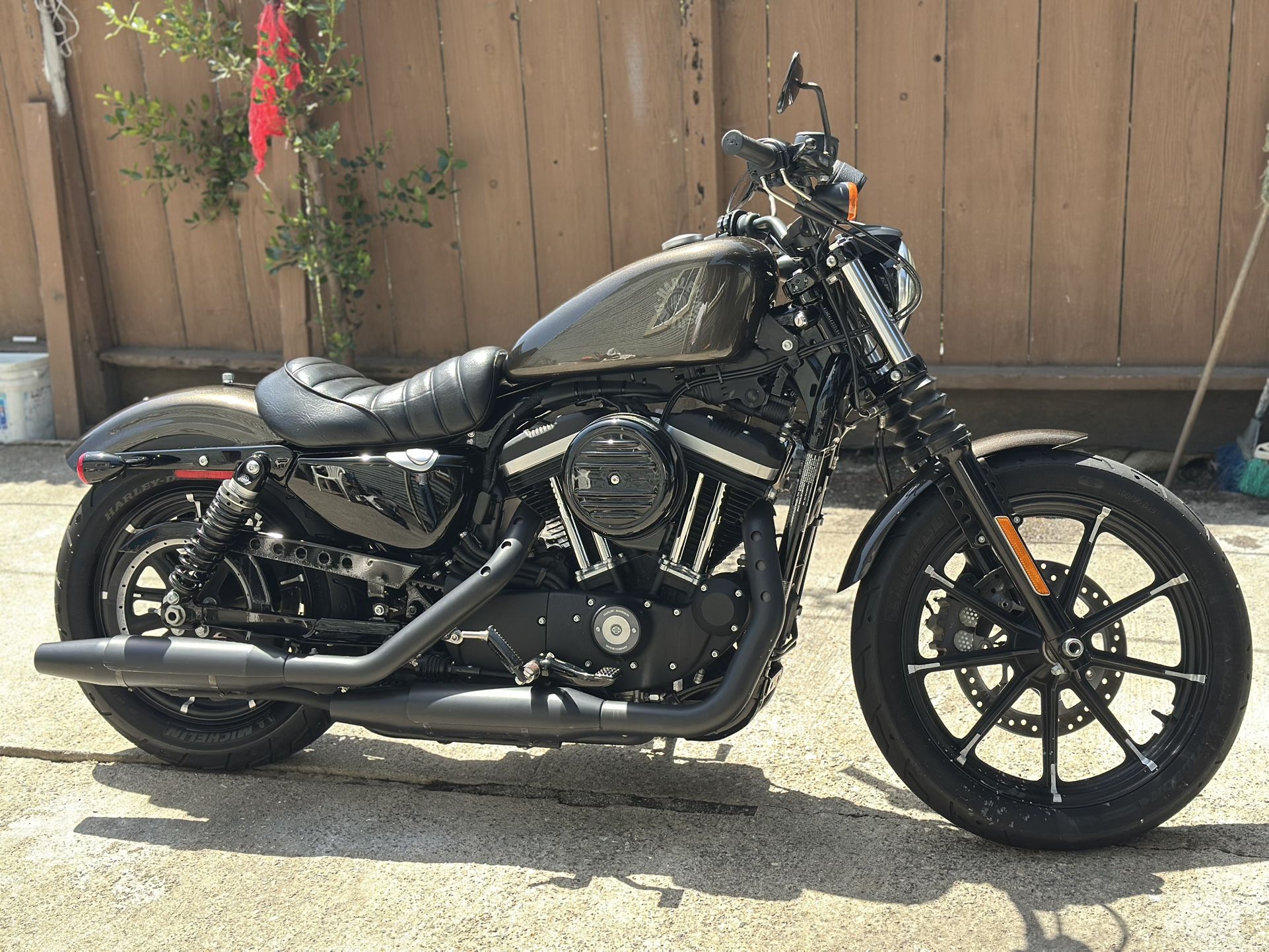 2020 Harley Davidson Sportster Iron 883