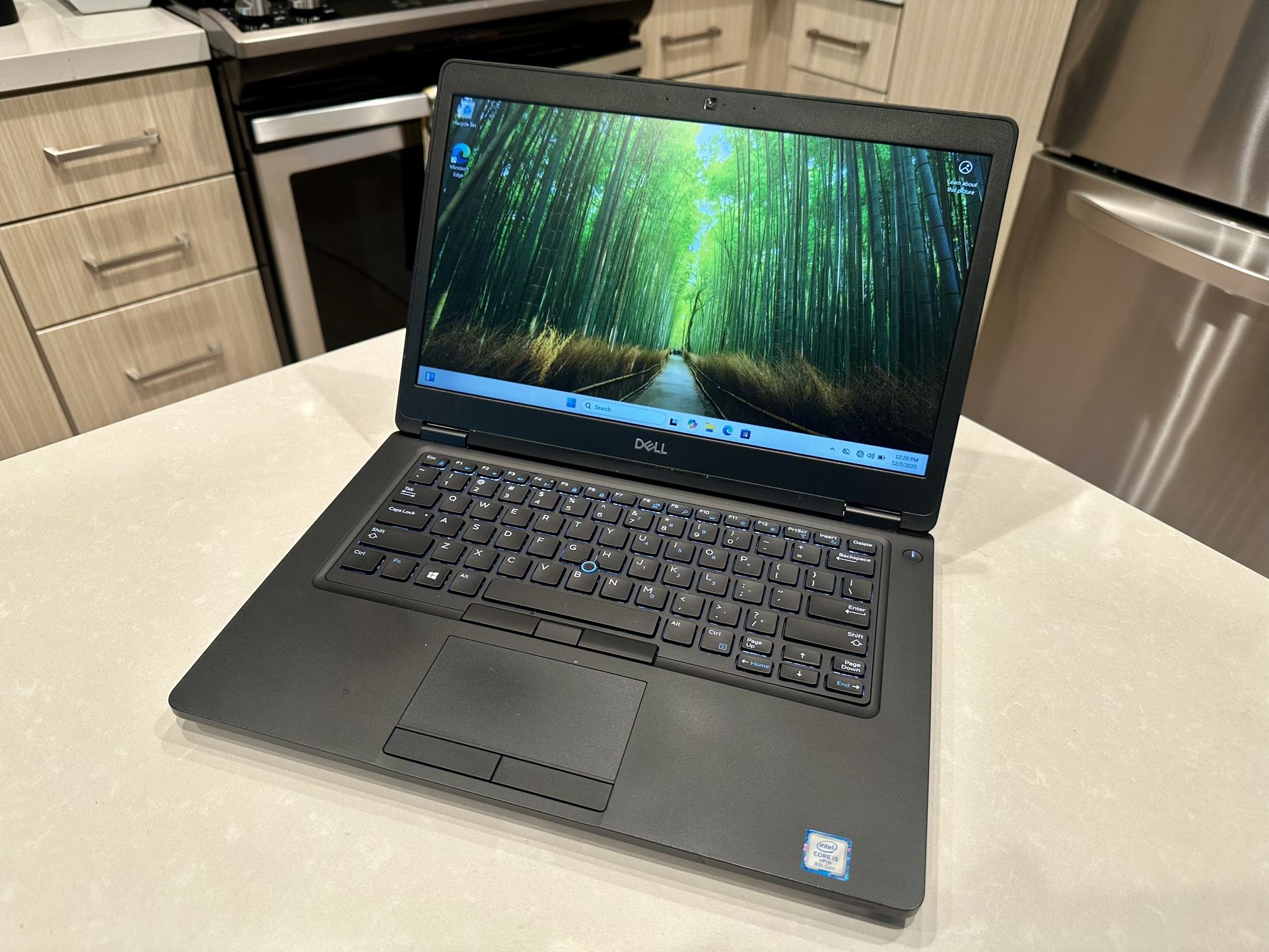 14” Dell Latitude (16GB) Laptop