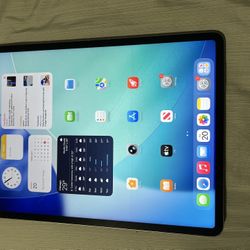 iPad Pro 12,9   6th generation 512 Gb