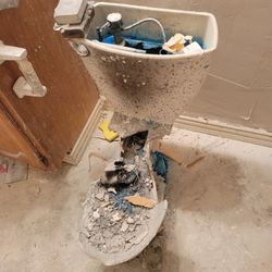 BARELY USED PLATINUM TOILET BOWL