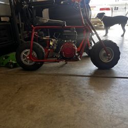 ct100u mini bike