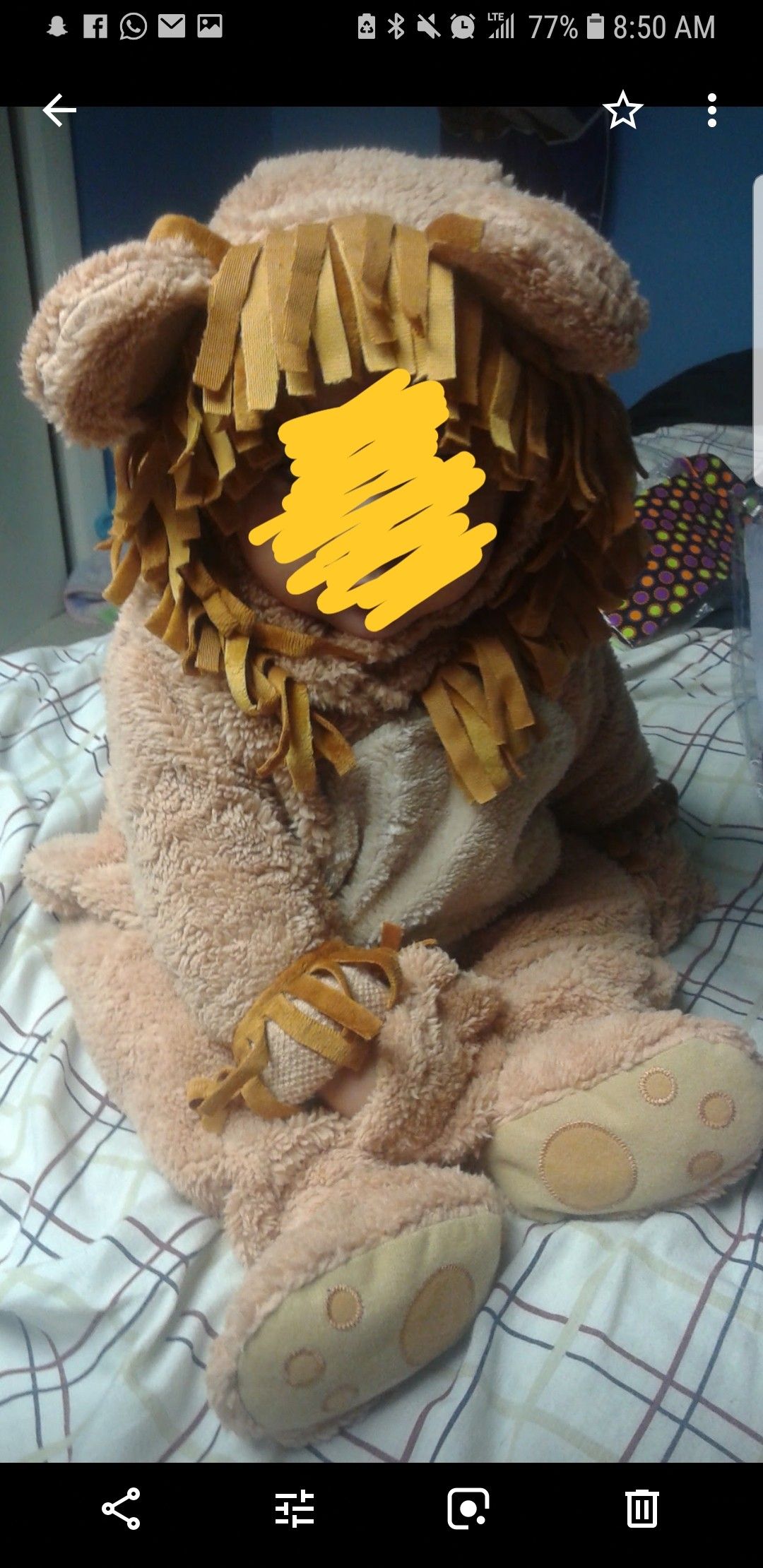Baby lion