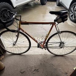 Medici Pro Strada Vintage Road Bike