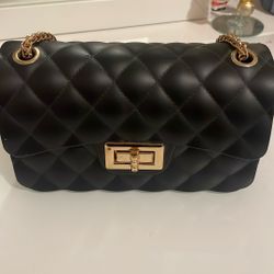 Black Purse 