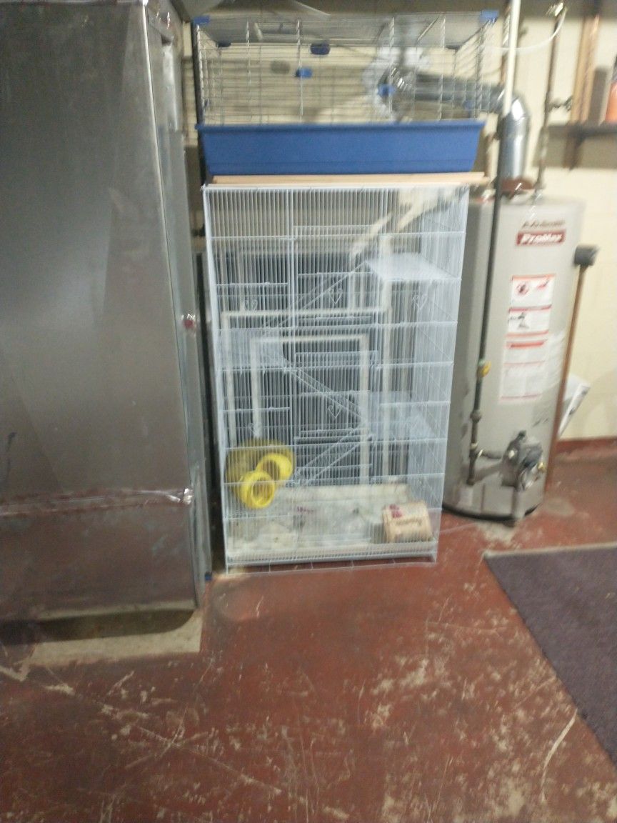 Bird Cage Or Animal