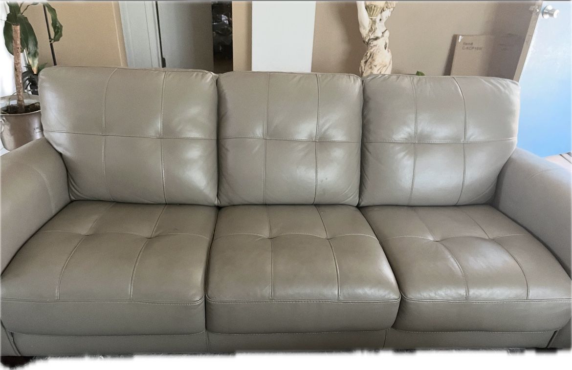 Leather Love seat and couch.