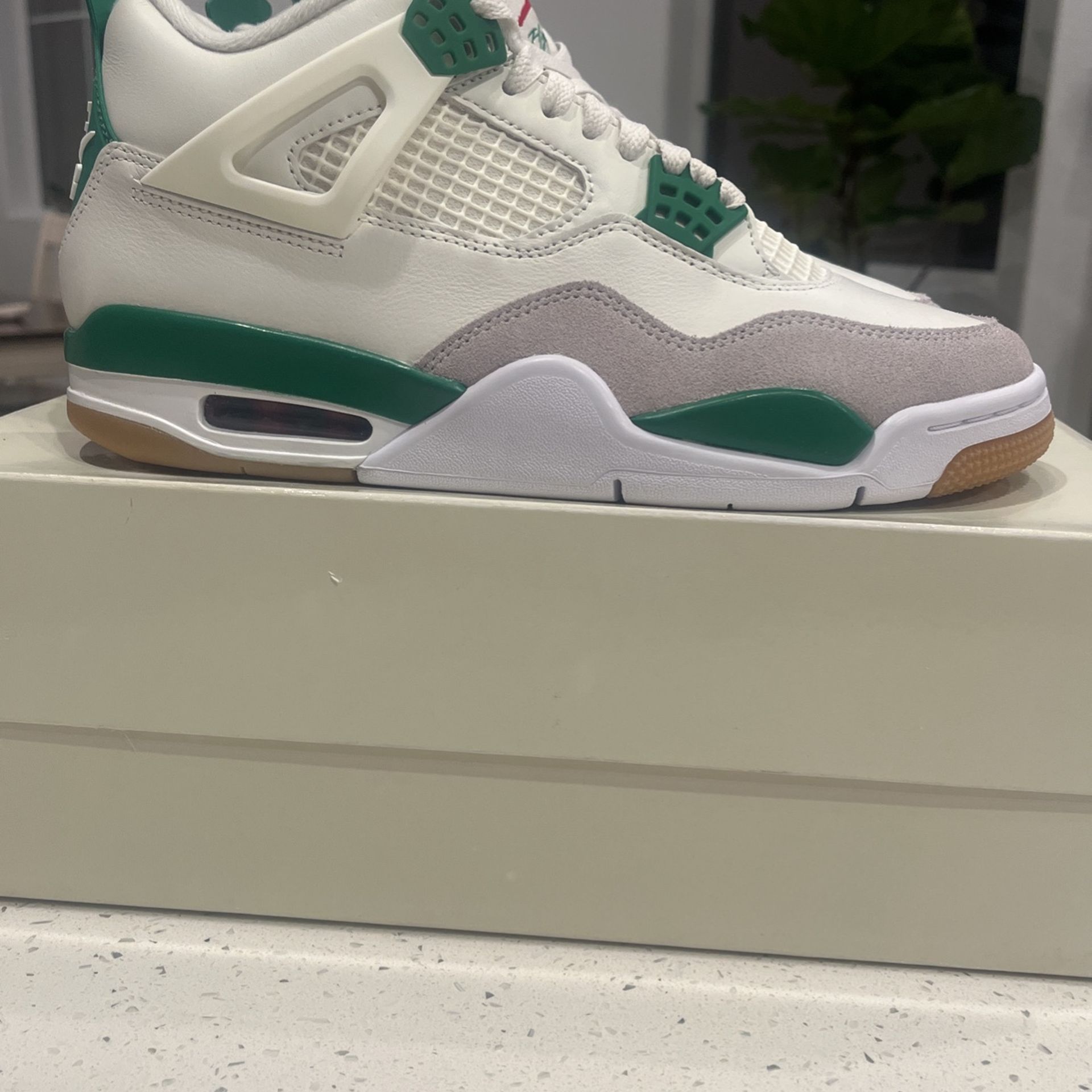 Brand New Jordan Nike SB Pine Green Size Authenticated