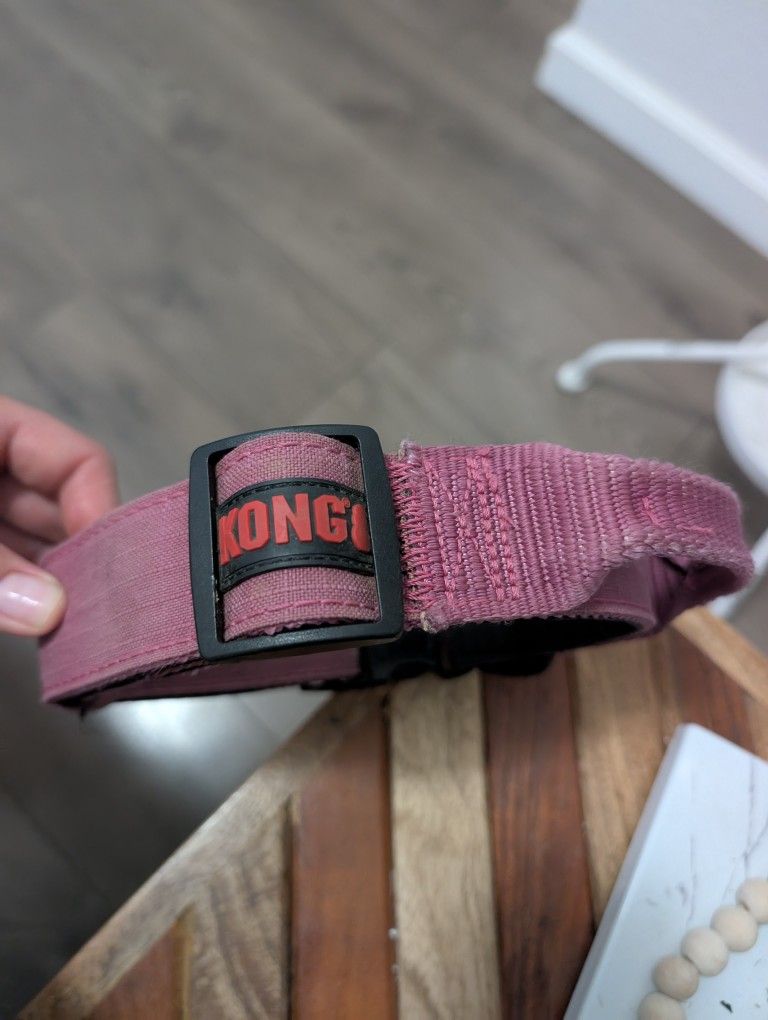Kongs Dog Collar (Large) 