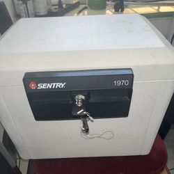 Sentry 1970 Safe Plastic Compartment 