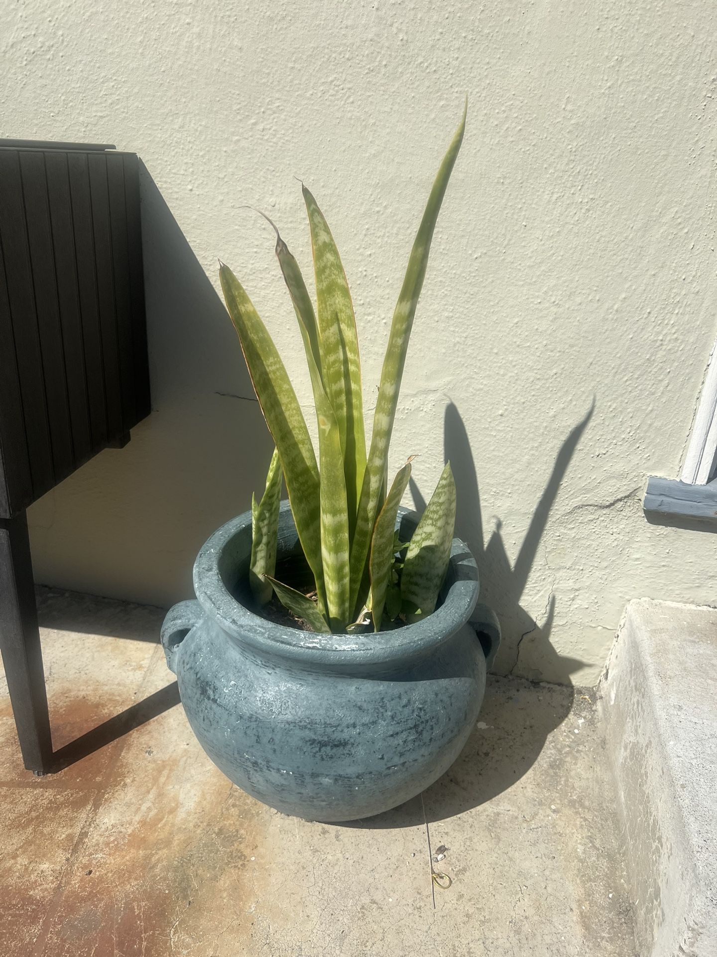 Ceramic Pots