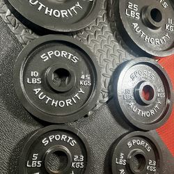 Vintage/Reconditioned Olympic  Weights Plates  SPORT AUTHORITY : 45s, 35s, 25s, 10s & 5s . Brute#240