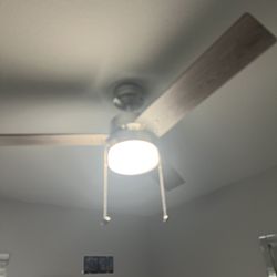 Puertas Para Perros 🐶 Mascotas/ Doggie Door 