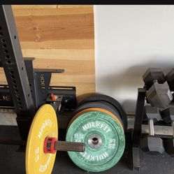 Rogue Fitness Wall Mounted Power Rack Home Gym