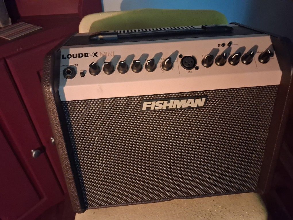 Fishman Mini Amplifier