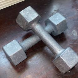 8lb Dumbbell Pair – Solid Metal Weights (16lb Total)