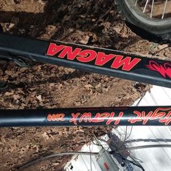 Magna Night Hawk 2000 Bike