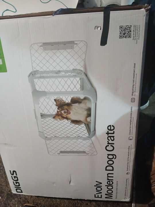 Diggs Dog Crate