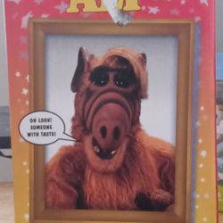 ALF (Alien Life Form) 7" Action Figure From The 80's  TV Show - New-