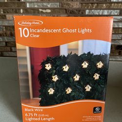 BRAND NEW GHOST LIGHTS BLACK WIRE 