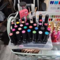 Gel Nail Polish Beetles 