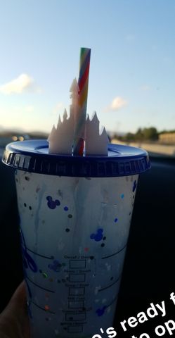 Color changing disney cup and straw toppers