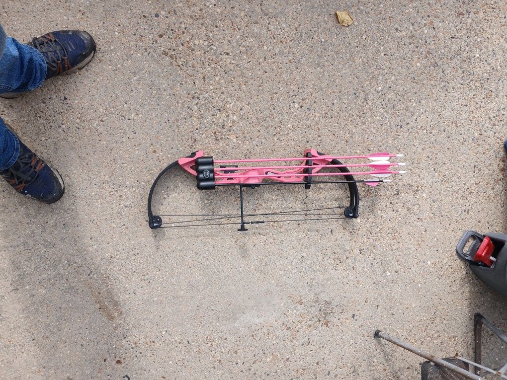 Bear Archery (Pink)