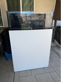 Fish Tank saltwater aquarium Reef