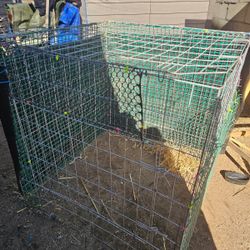 Hola Mi Gente Tengo Estás Jaulas Para Gallos 