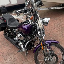 2002 Harley Davidson Springer 