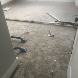 Luxury ,Shaw Brand Carpet For Sale (good Quality Carpet)