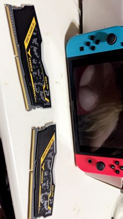 Two DDR4 ram sticks