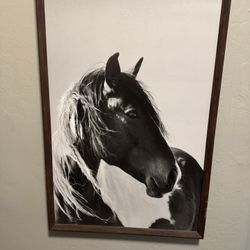 Horse Painting