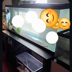 What u See Is What You Get Inbox For More Info Comes With Some Surprises Fish Tanks 😮 