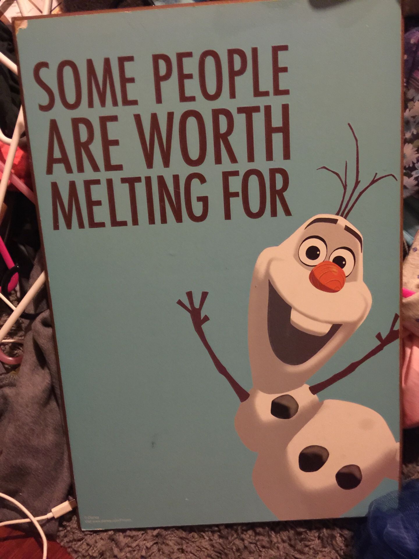 Frozen movie wooden billboard you give me price!