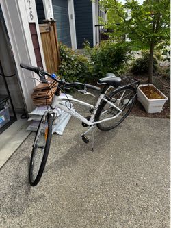 Infinity Adult Cruiser Bike
