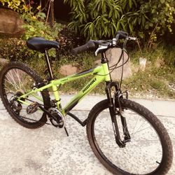 Niahiki  24 Wheels 21 Speed Mountain Bike 