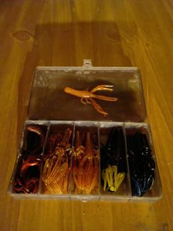 Say On TV Baby Crawfish