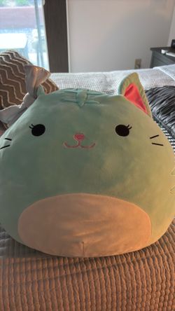 Large Cat Squishmellow
