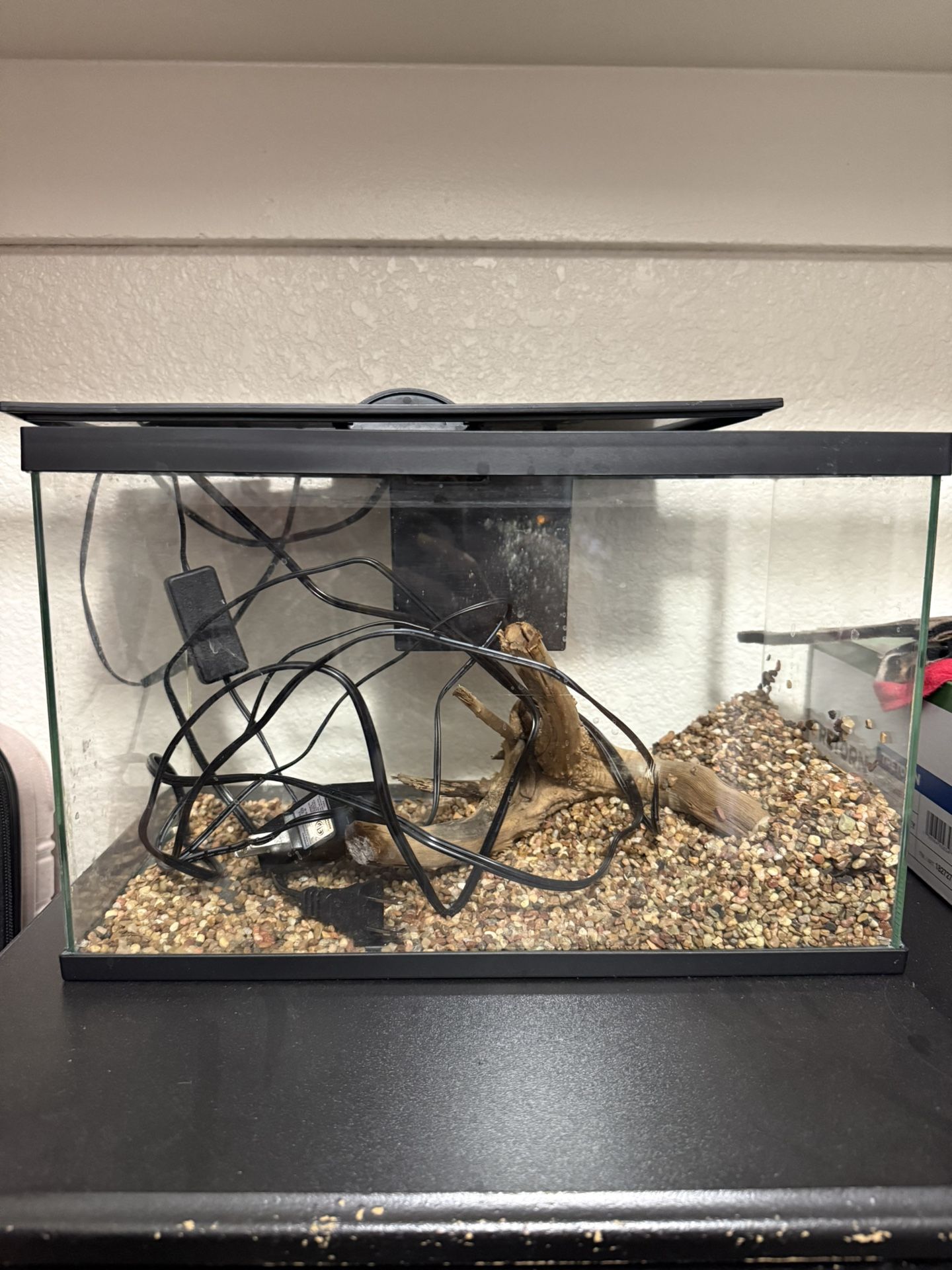3 Gallon Aquarium