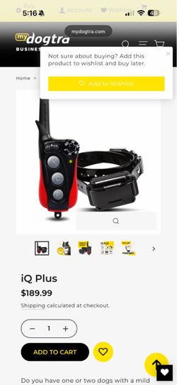Dogtra iQ Plus