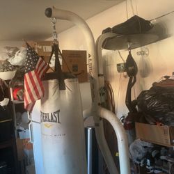 Heavy Duty Century Boxing Stand  With Speed Boxing 
