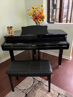 Mini Grand Digital Piano