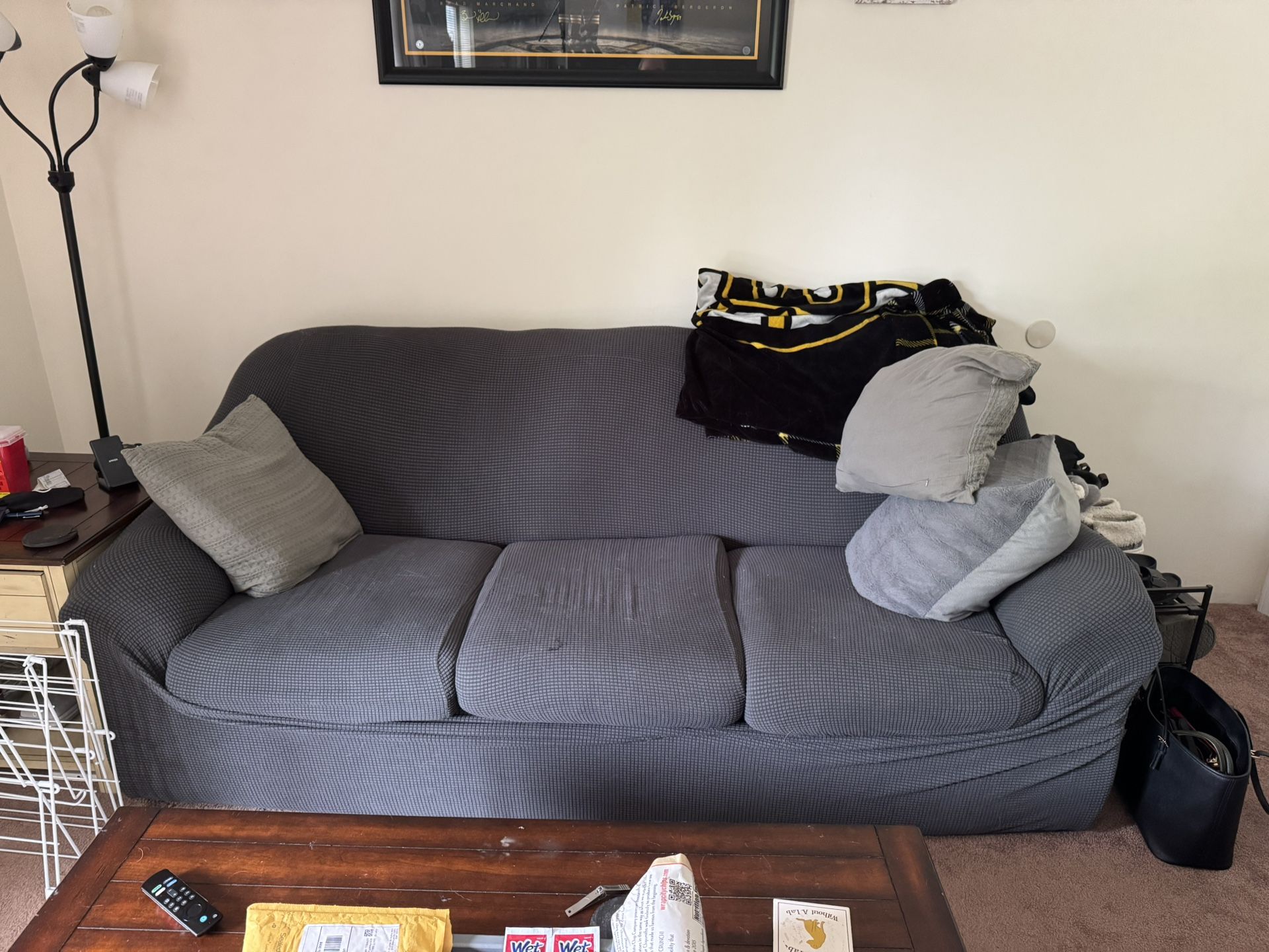 Sleeper Sofa