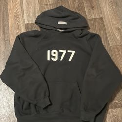 Essential Hoodie 1977 Hoodie Size Larger