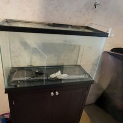 New 29 gallon tank just needs cleaning, and furniture