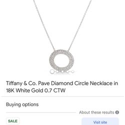 Tiffany & Co 18k White Gold Diamond Circle Necklace 
