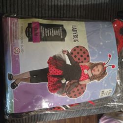 Ladybug Costume