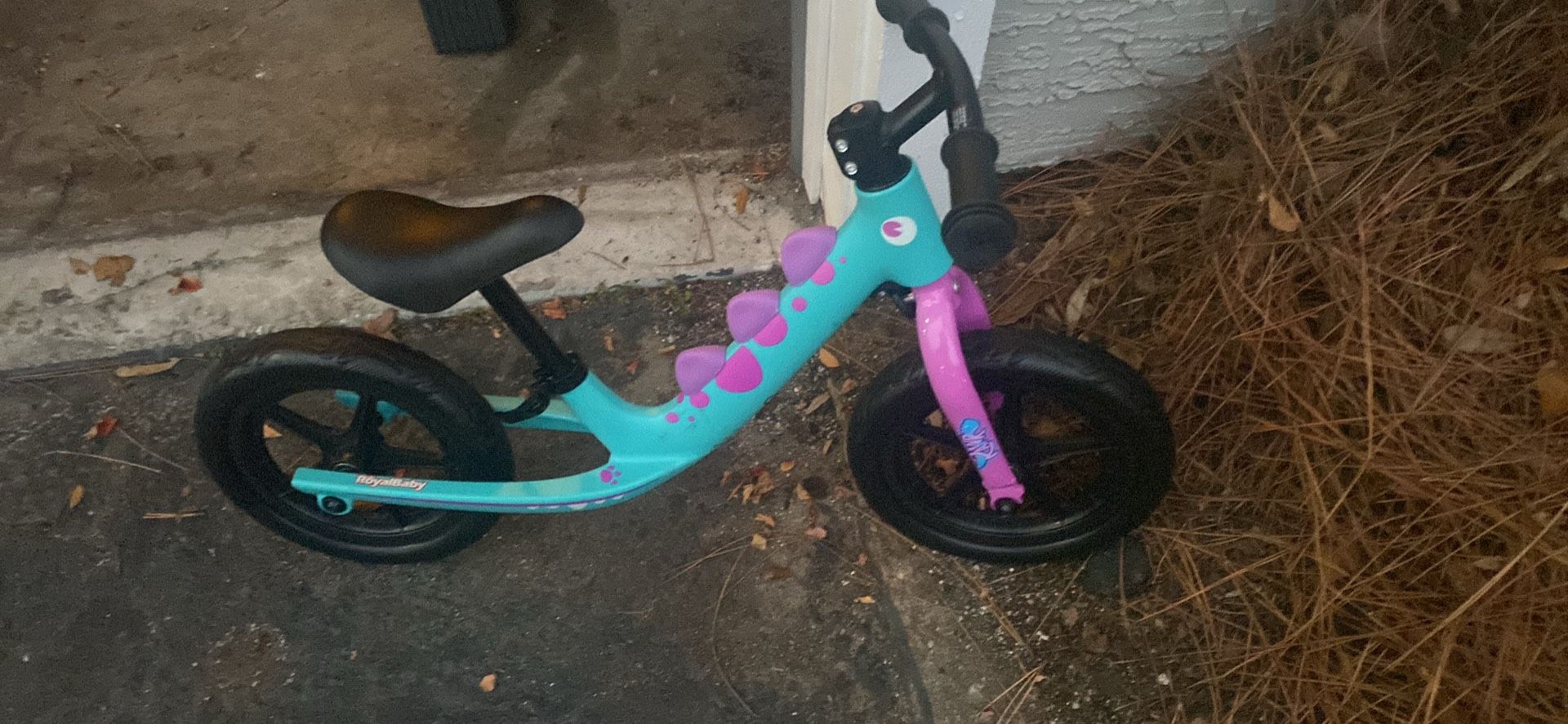 Royal dinosaur kids bike