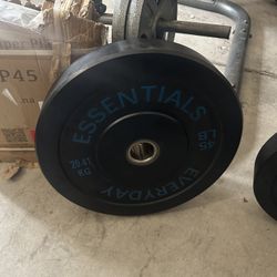 Everyday Essentials 45lb 20.41 Kg