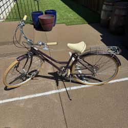 “Jenny” Cruiser Bike